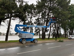 Elagage nacelle location Lorient Morbihan Bretagne